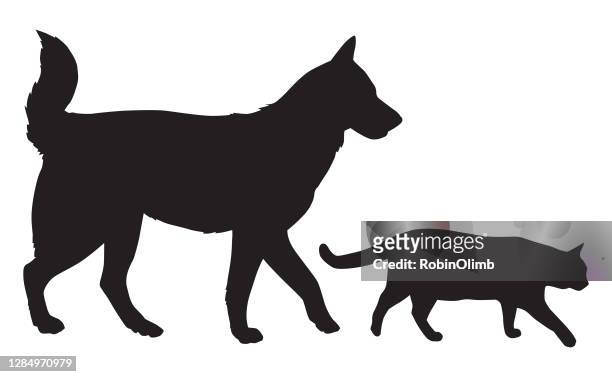ilustrações de stock, clip art, desenhos animados e ícones de dog and cat walking together - mixed breed dog