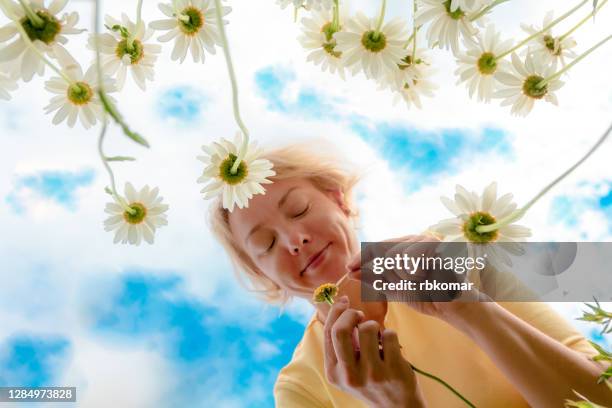 girl with closed eyes plucking off a chamomile petal and smiles - 花びら占い ストックフォトと画像