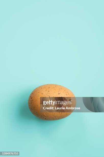 cracked brown egg on turquoise background - broken egg bildbanksfoton och bilder