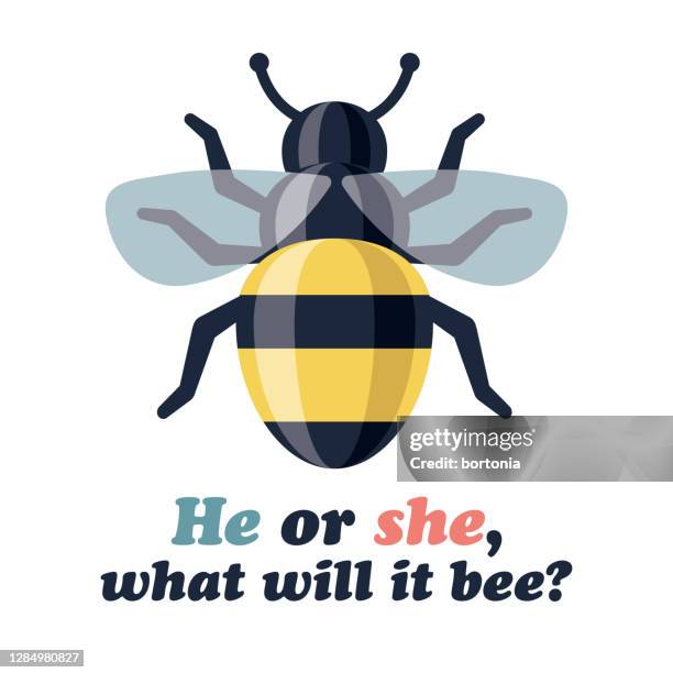 bee gender reveal icon on transparent background - bee stock illustrations