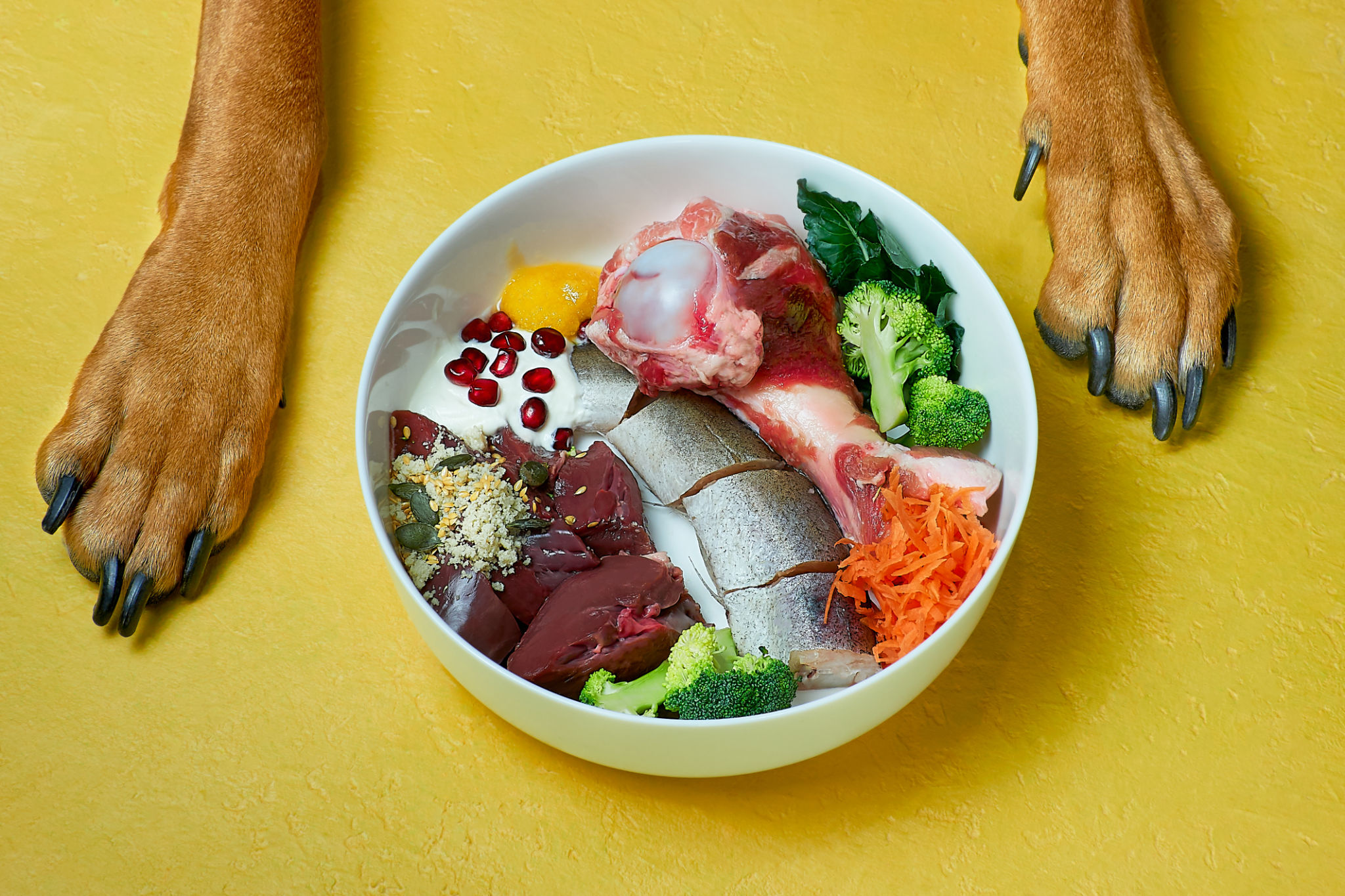 dog food ingredients