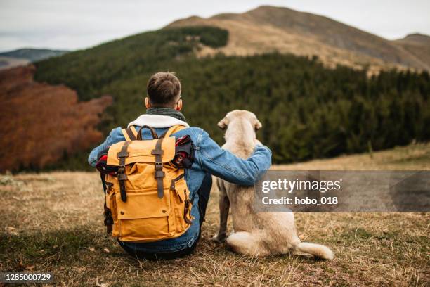 wanderer mit rucksack und hund auf berg ruhen - active dog stock-fotos und bilder