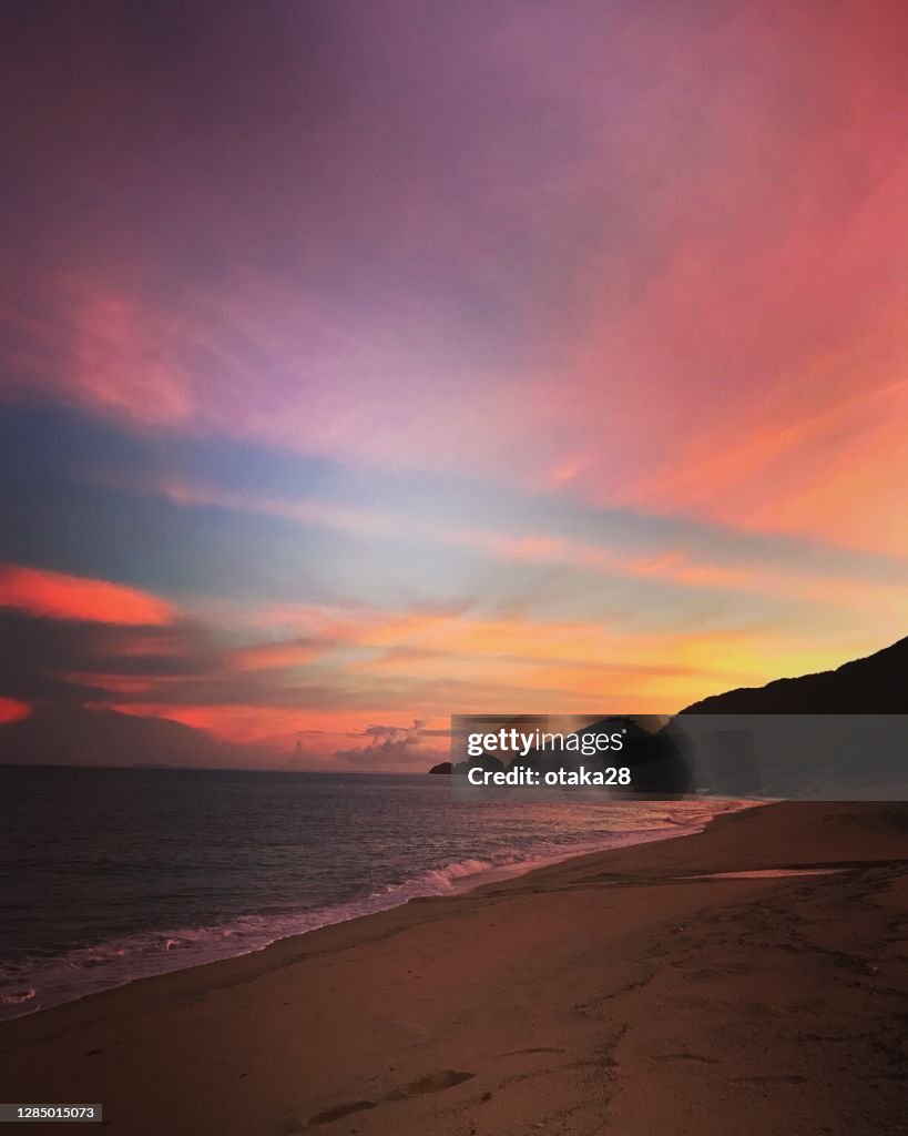 Japanese coastal scenery (Yakushima)