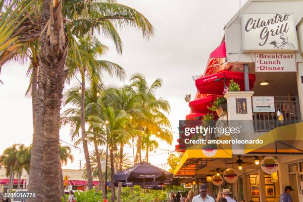 st. armands circle, sarasota, flórida, estados unidos da américa eua - siesta key - fotografias e filmes do acervo