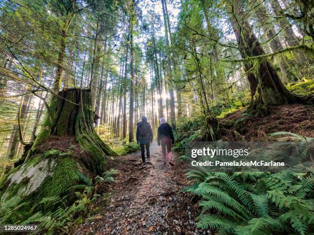 autumn hiking, mother and daughter hiking up forest trail - british columbia winter stock pictures, royalty-free photos & images