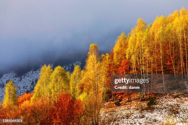 November Outside 67,289 November Landscape Stock Photos, High-Res Pictures, and Images ...