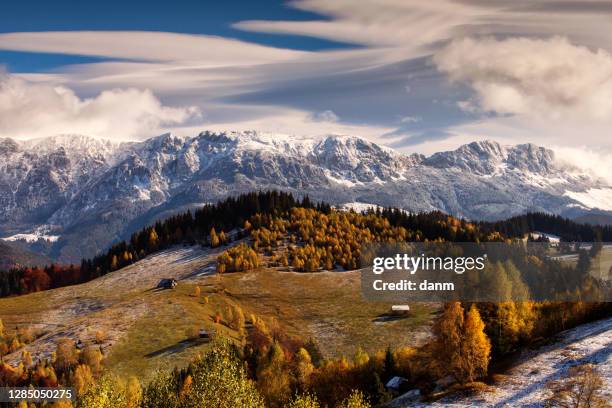 beautiful colourful landscape between autumn and winter in bran - brasov, romania. - siebenbürgen stockfoto's en -beelden