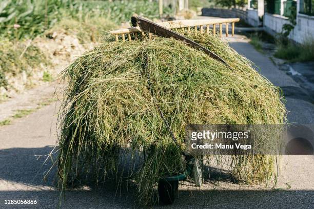 wheelbarrow full of grass cut with a scythe - stock photo - gras sense stock-fotos und bilder