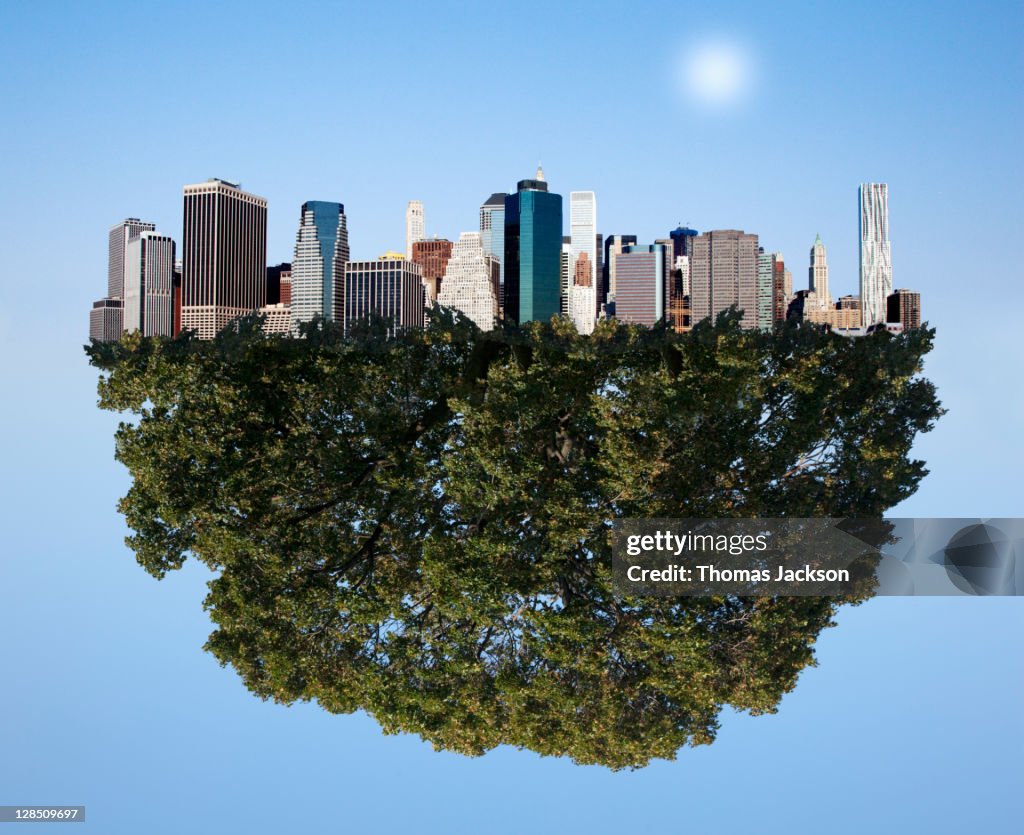 City Inside Tree City In A Tree High-Res Stock Photo - Getty Images