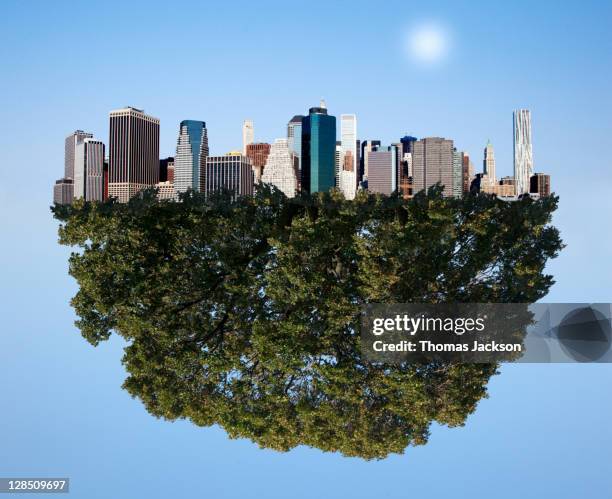 Tree City 1,263 Tree Canopy City Stock Photos, High-Res Pictures, and Images ...