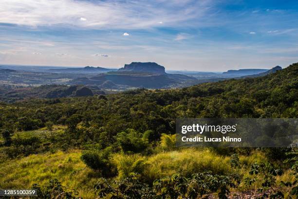 brazilian cerrado mountains - cerrado stockfoto's en -beelden