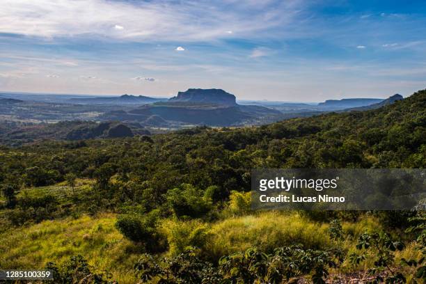 brazilian cerrado mountains - cerrado 個照片及圖片檔