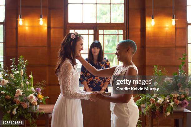 lesbian same sex wedding - homohuwelijk stockfoto's en -beelden