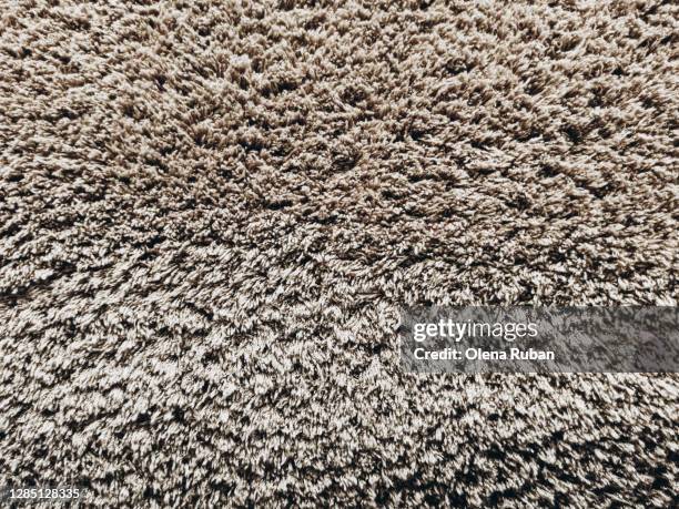 hair carpet texture as background for design - wool coat stock pictures, royalty-free photos & images