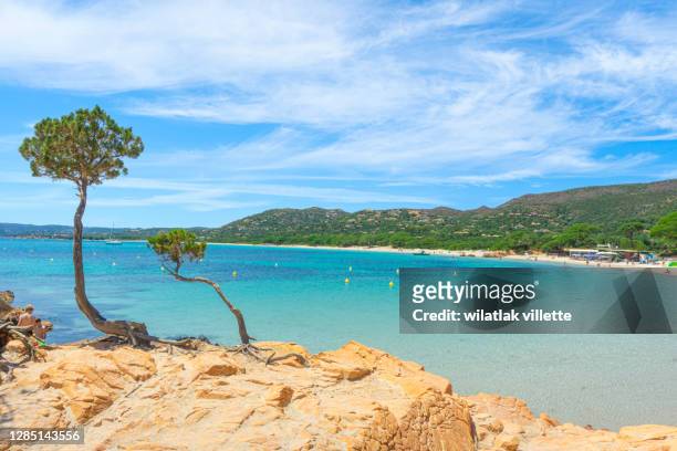 palombaggia beach corsica, france. - corsica beach stock pictures, royalty-free photos & images