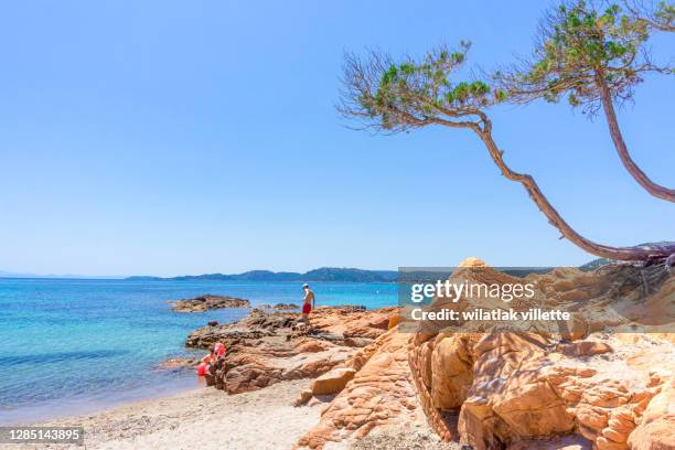 palombaggia beach corsica, france. - コルシカ ストックフォトと画像