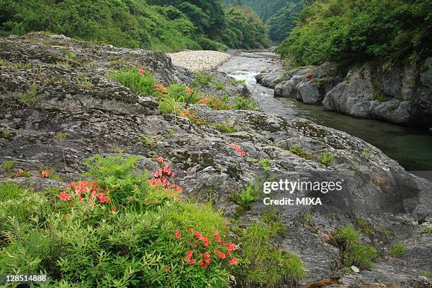 Kushida River Photos and Premium High Res Pictures Getty Images