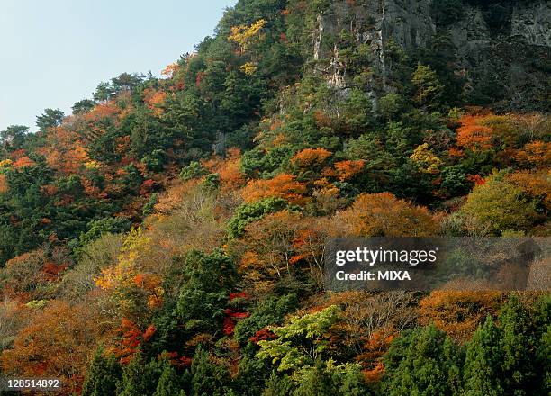 kaochidani valley, nabari, mie, japan - mie prefecture stock pictures, royalty-free photos & images