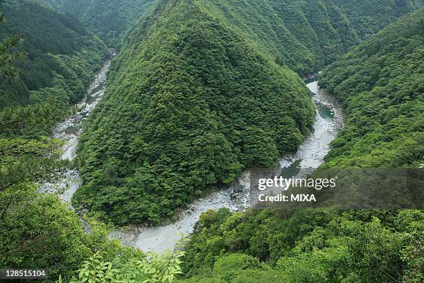 iya valley, miyoshi, tokushima, japan - iya valley stock pictures, royalty-free photos & images