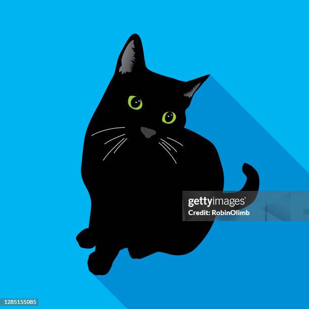 cute black cat - curiosity vector stock illustrations
