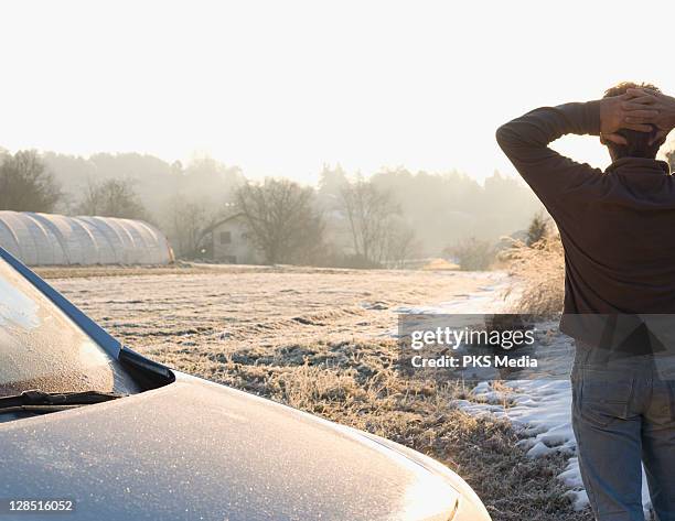 italy, piedmont, man looking out over greenhouses beside car - auto von hinten winter stock-fotos und bilder