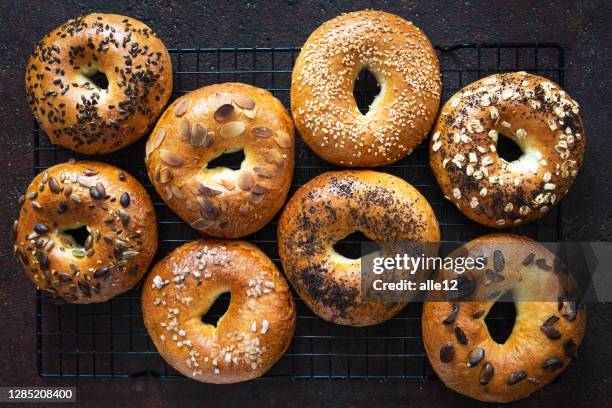 new york style bagels - bagel stock pictures, royalty-free photos & images