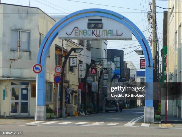 de stad van toyama - toyama prefecture stockfoto's en -beelden