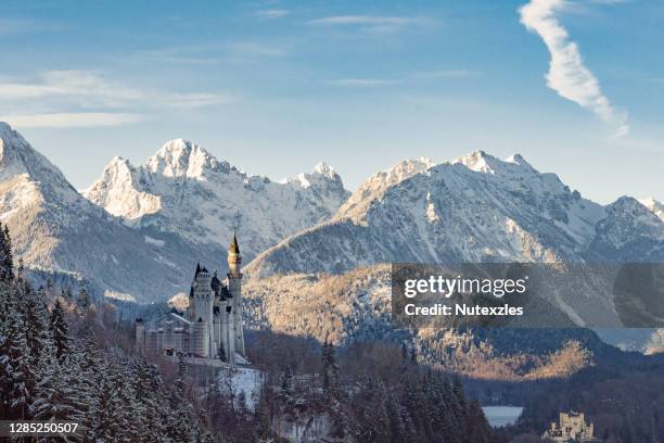 neuschwanstein castle in winter - neuschwanstein winter stock pictures, royalty-free photos & images