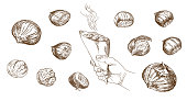 Set of hand drawn illustration. Hand holding grilled whole chestnuts.