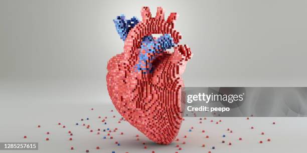 modelo de corazón médico hecho de bloques metálicos rojos y azules - heart anatomy fotografías e imágenes de stock