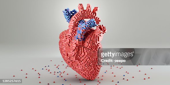 107 3d Heart Model Photos and Premium High Res Pictures - Getty Images
