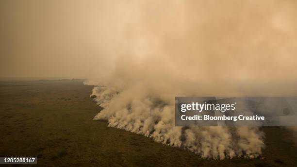 fires in the brazilian wetlands - pantanal wetlands foto e immagini stock