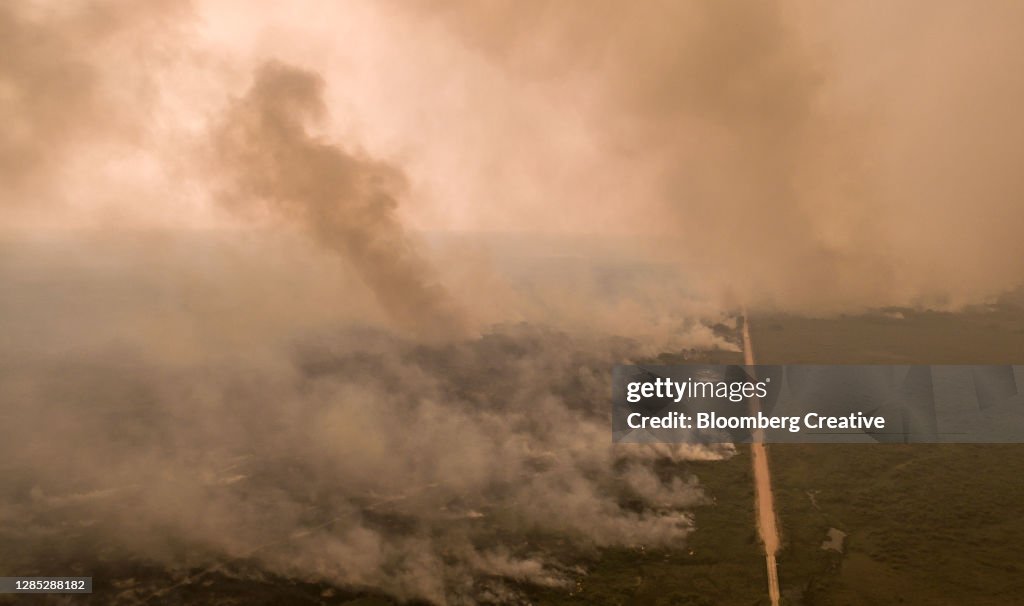 Fires In The Brazilian Wetlands