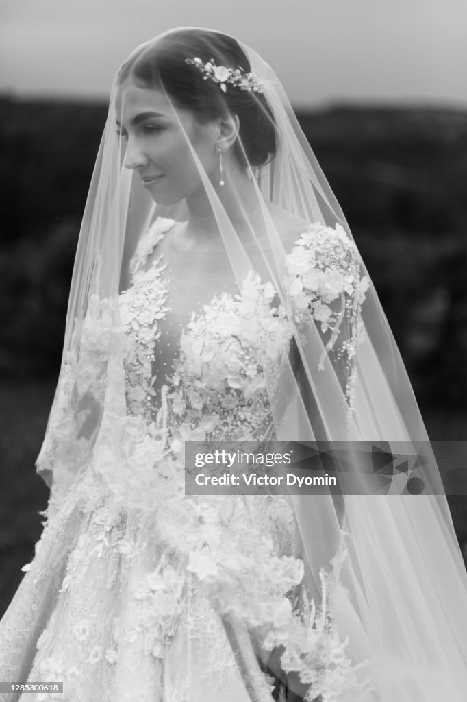 Black and white outdoor portrait of the gorgeous bride