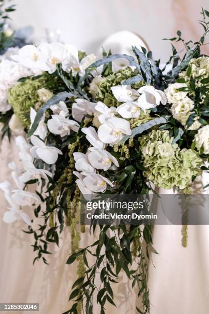 amazing floral composition with orchids and evergreens - evergreen plant stock pictures, royalty-free photos & images