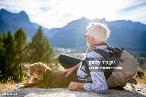 de hogere mens zit met een hond op een leiband in de bergen - americas next top dog stockfoto's en -beelden