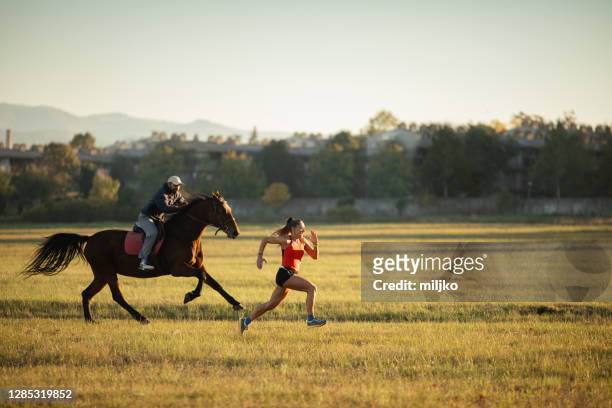 running with an horse - autumn steed stock pictures, royalty-free photos & images