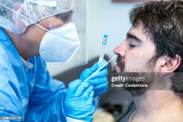 epidemic - medical staff in protective suit taking sample from patient's nose. - czech republic covid stock pictures, royalty-free photos & images