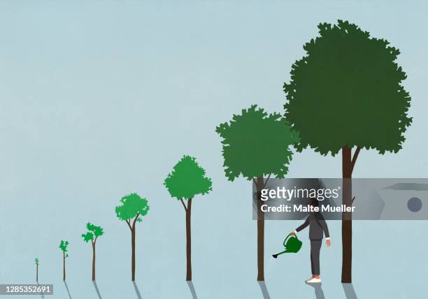 businessman watering growing trees with watering can - business stock illustrations