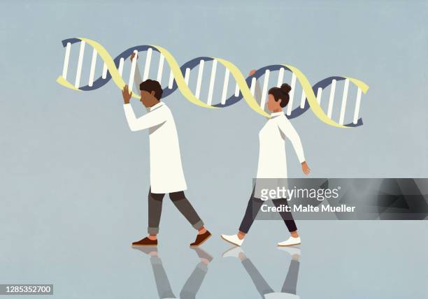 scientists in lab coats carrying large double helix - genforschung stock-grafiken, -clipart, -cartoons und -symbole