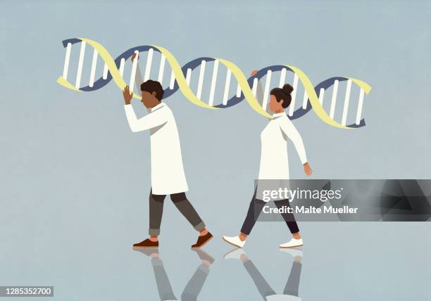 ilustrações de stock, clip art, desenhos animados e ícones de scientists in lab coats carrying large double helix - dna