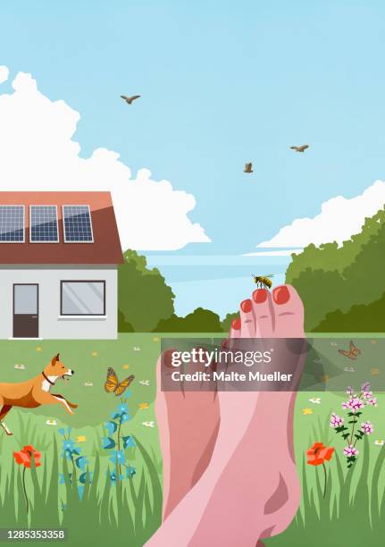 pov carefree barefoot woman relaxing in idyllic sunny spring garden - personal perspective stock illustrations