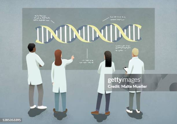 ilustraciones, imágenes clip art, dibujos animados e iconos de stock de scientists examining and discussing dna double helix diagram - biochemistry