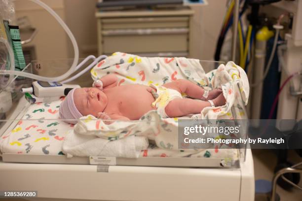 a newborn being care for in the operating room - umbilical cord stock pictures, royalty-free photos & images