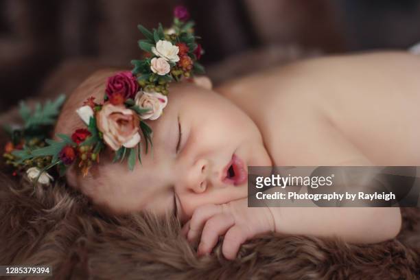 a newborn baby girl sleeping on brown fur - bloemkroon stockfoto's en -beelden