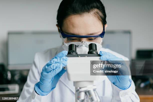 doctor working in hospital laboratory - scientist in laboratory imagens e fotografias de stock