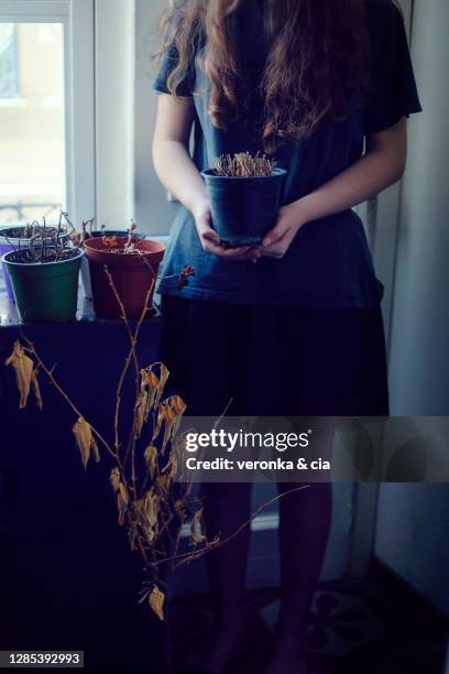 a girl surrounded by dead plants - dead girl imagens e fotografias de stock