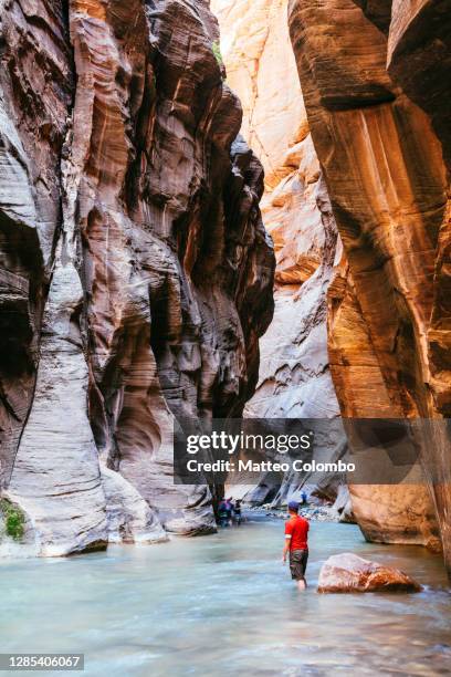 man hiking in the narrows, zion national park, usa - virgin river stockfoto's en -beelden