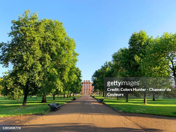 beautiful trees and alley inside hyde park in london - palacio de kensington stock pictures, royalty-free photos & images