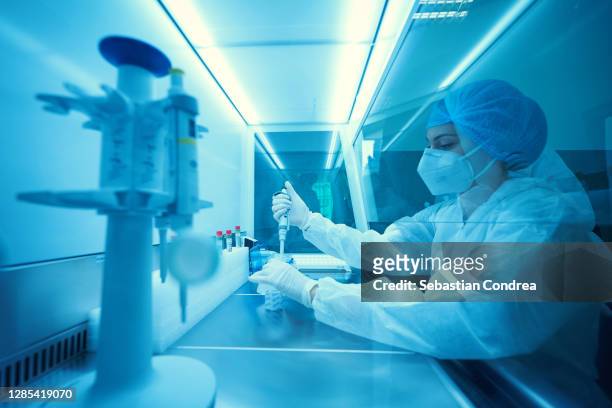 female scientist looking at the medical samples in the laboratory, manual pipetting for sars-cov-2 pcr diagnostics kit. - centers for disease control and prevention stock pictures, royalty-free photos & images
